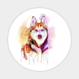 Husky Dog Watercolor Portrait Magnet